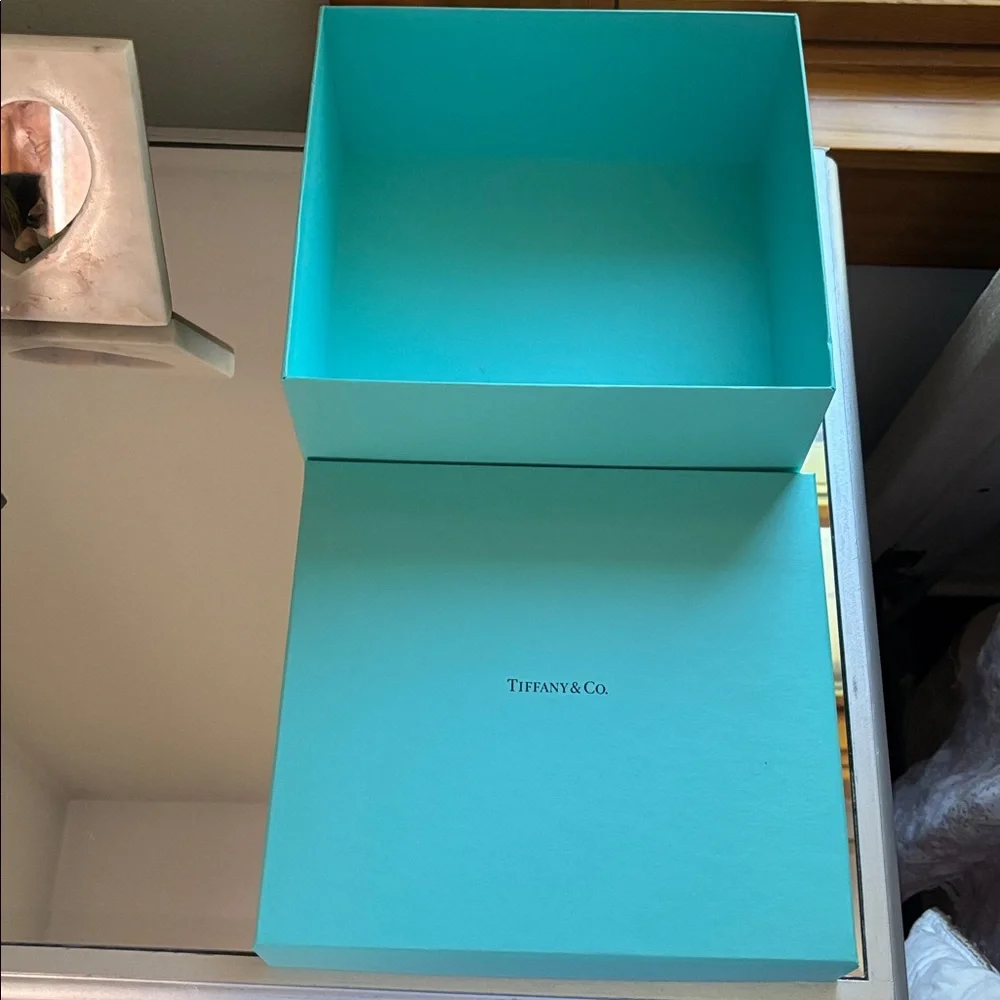 Tiffany & Co. good bag
